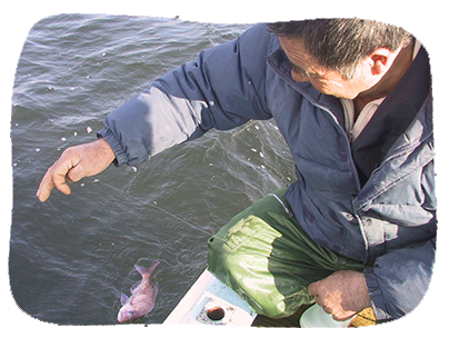 主人あきらの様子