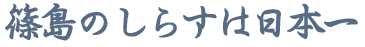 篠島のしらすは日本一